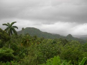 Photograph of Meseta de Maisi, Cuba