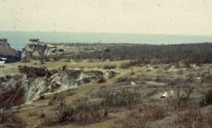 Photograph of dry scrub and boobies, Isla de la Plata, Ecuador