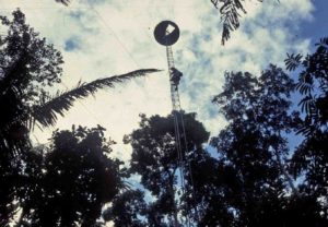 Photograph of observation tower, Jatun Sacha, Ecuador