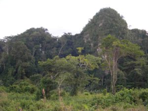 Photograph of landscape near Cuevas de Candelari, Guatemala