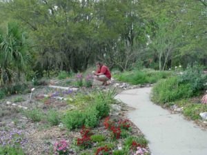 Photograph of Richard at Kanapaha Botanic Gardens