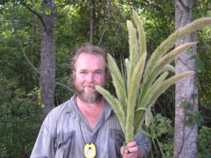 Photograph of Richard Abbott with Setaria magna.