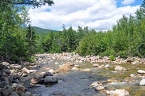 Photograph of Saco River, White Mountain National Forest, NH