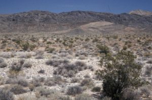 Photograph of desert in Nye County NV