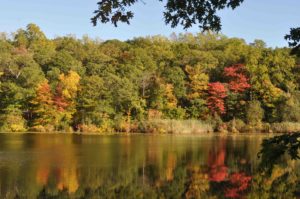 Photograph of Cranberry Lake, Cranberry Lake Preserve, NY