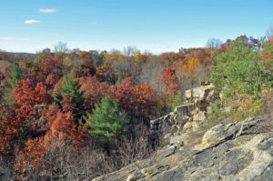 Photograph of landscape in ex-quarry, Cranberry Lake Preserve, NY