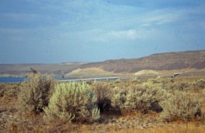 Photograph of landscape in eastern Washington